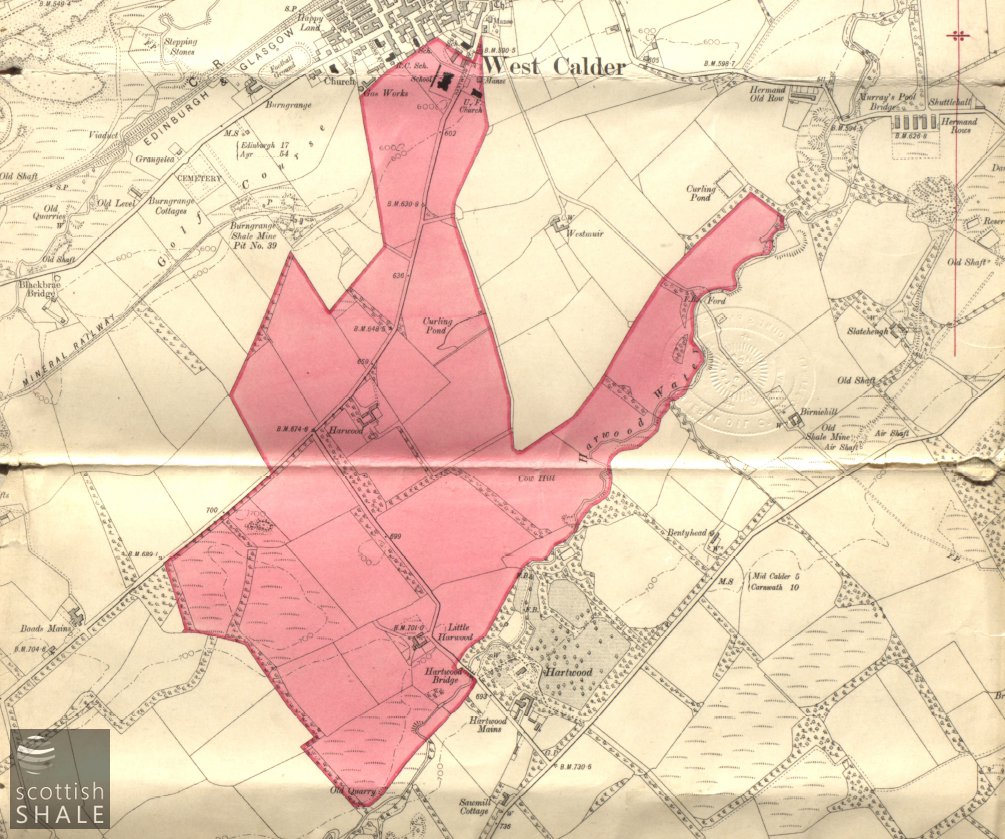 143458.jpg