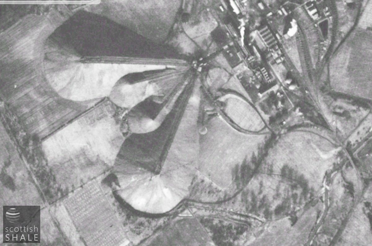 5sisters-1950.jpg
