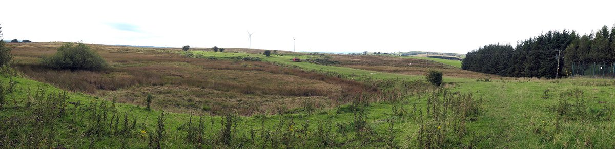Armadale 17 pan