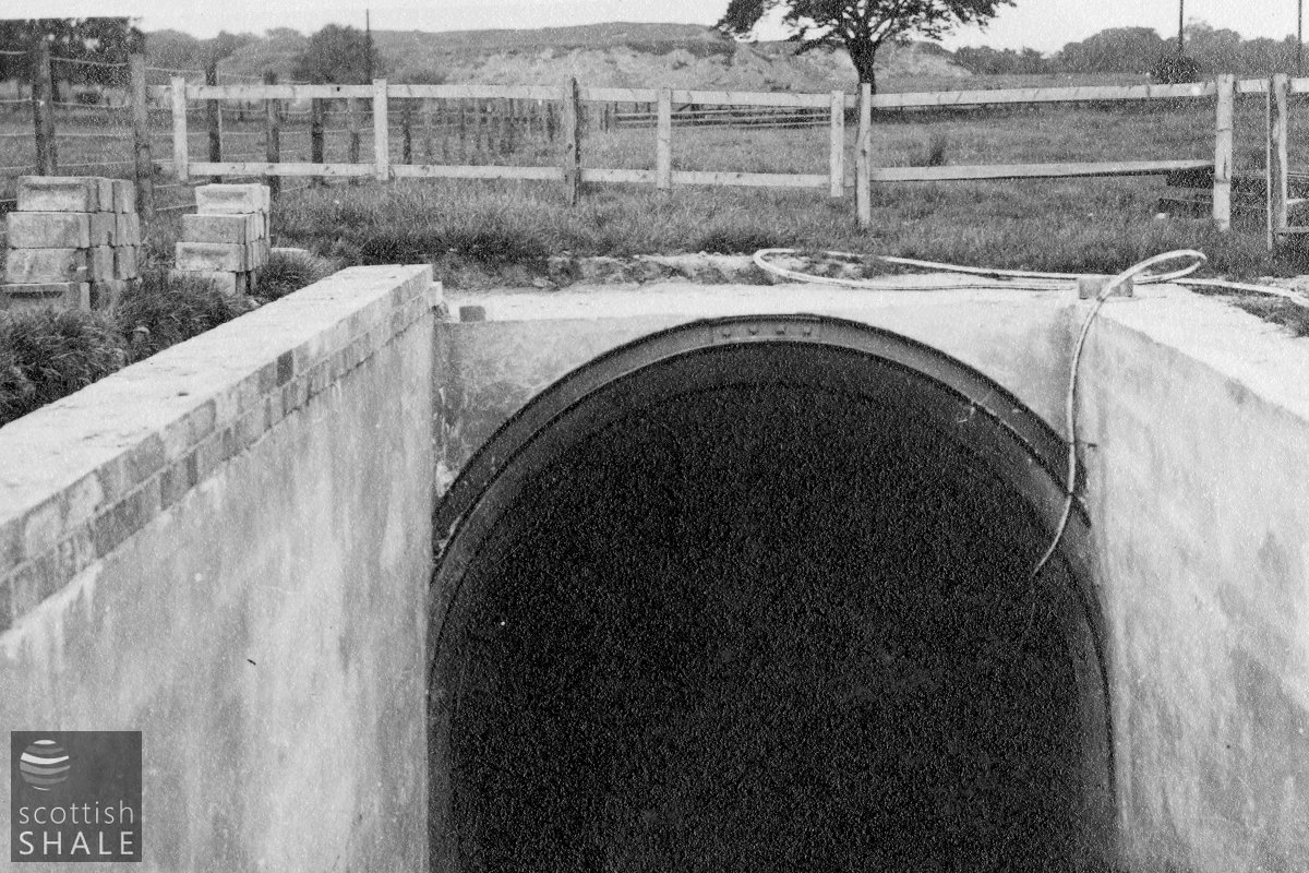 (BP Archives 19800-037).jpg