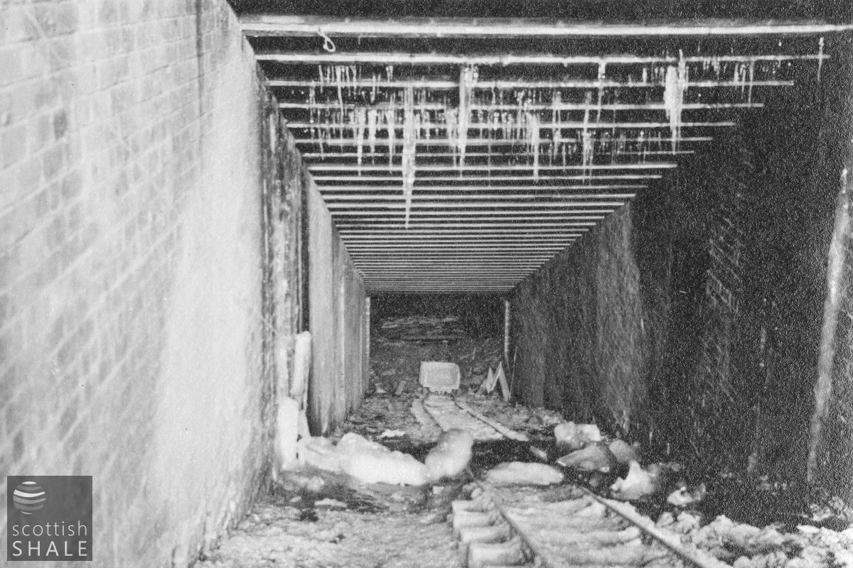 (BP Archives 19800-046).jpg