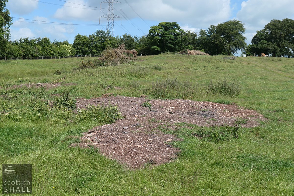 Boghead No.14 image3.jpg