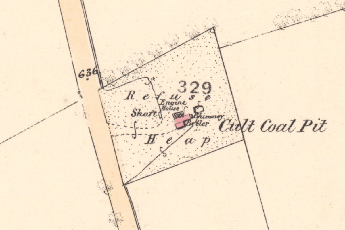 Cult 1855 close