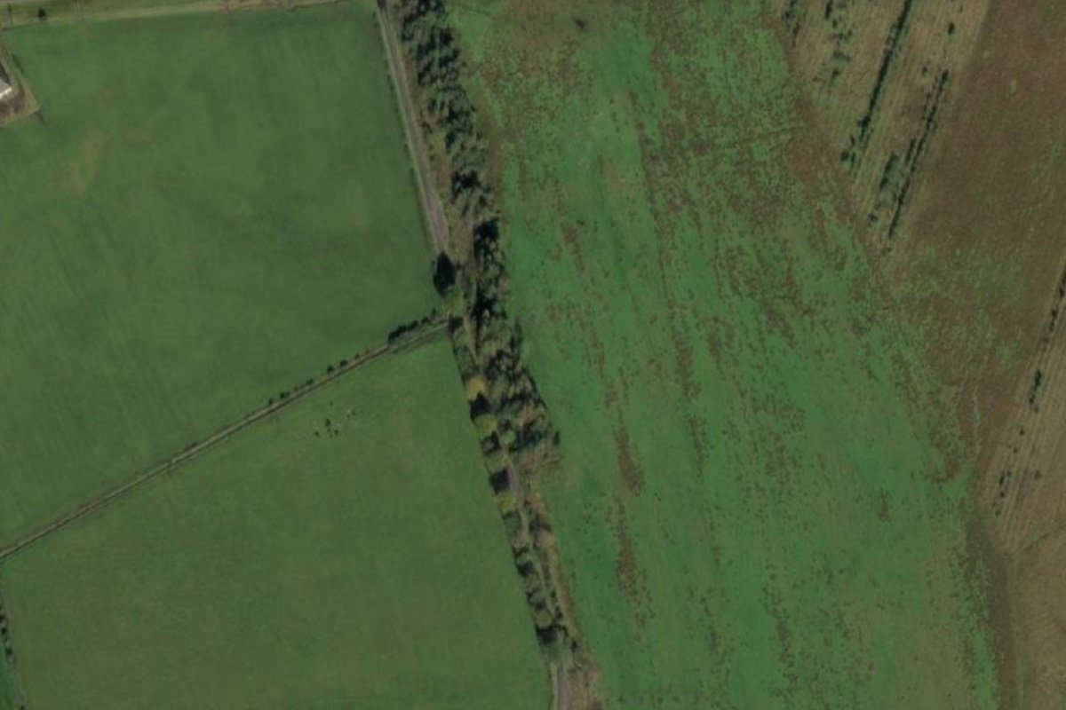 Cults aerial