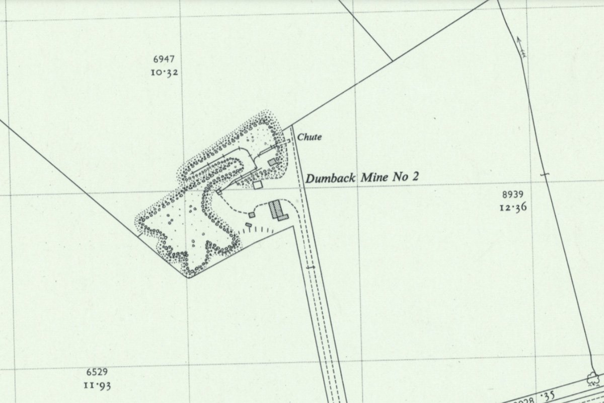 Dumback 2 1956