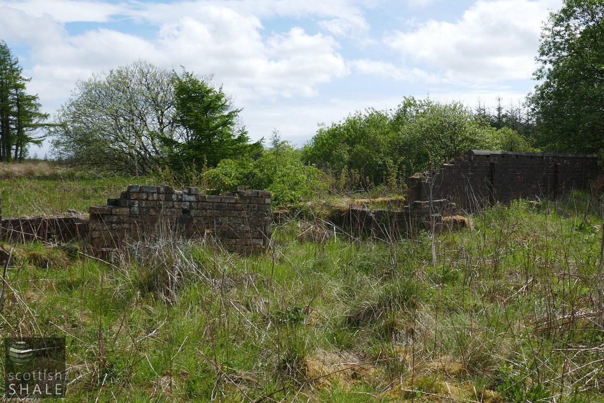 F17019-13.jpg
