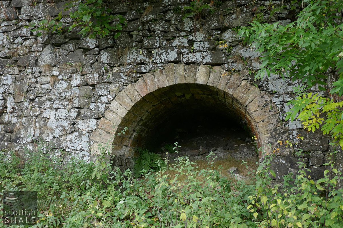 F17037-01.jpg