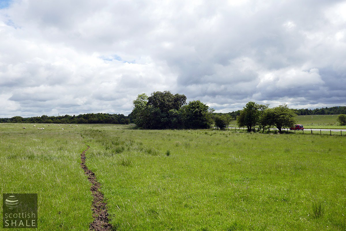 F19027-08.jpg