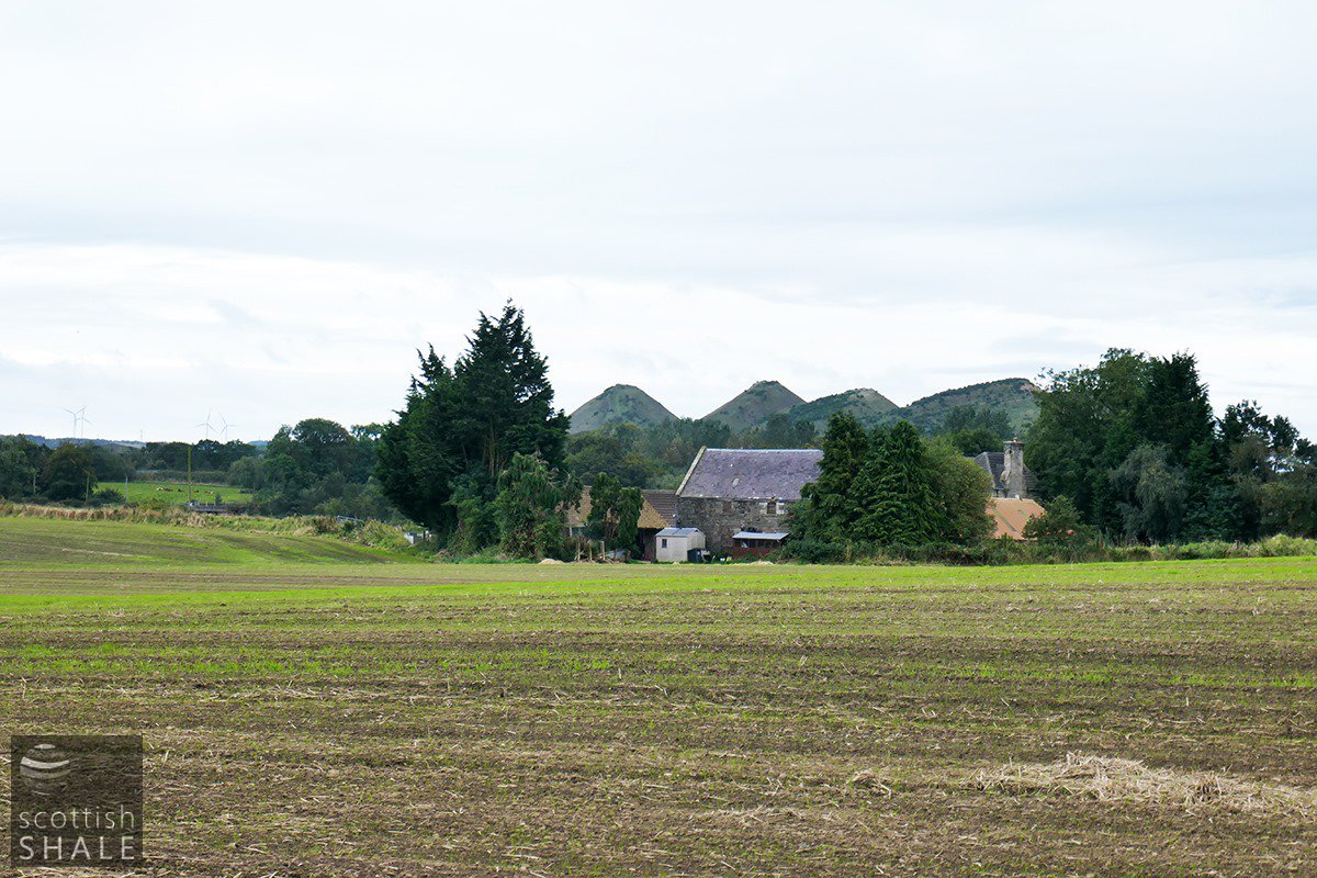 F19035-14.jpg