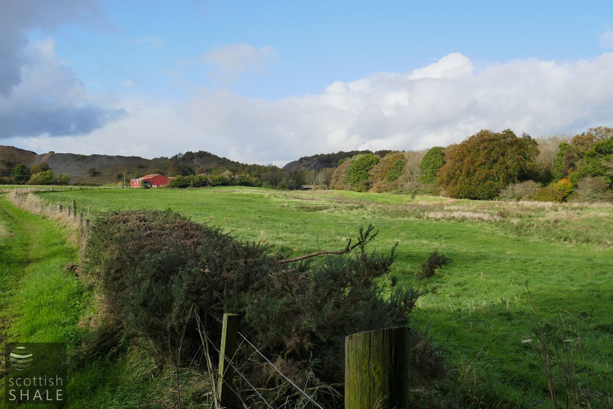 F19039-03.jpg