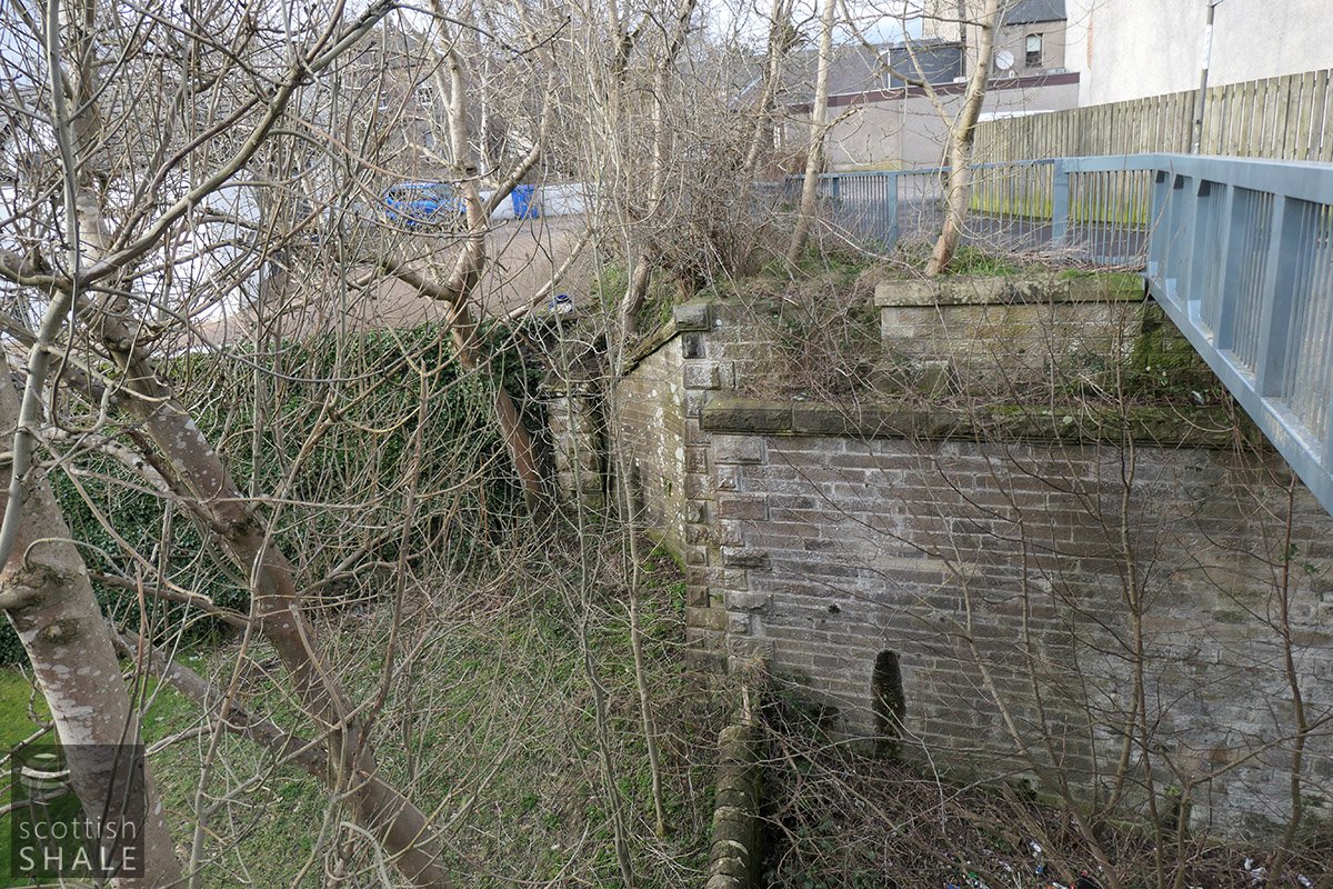 P1000209.jpg