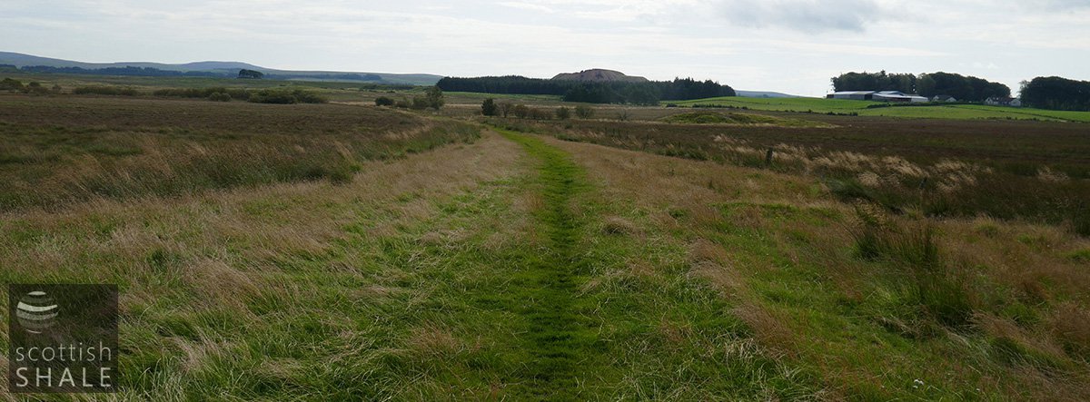 P1000555.jpg