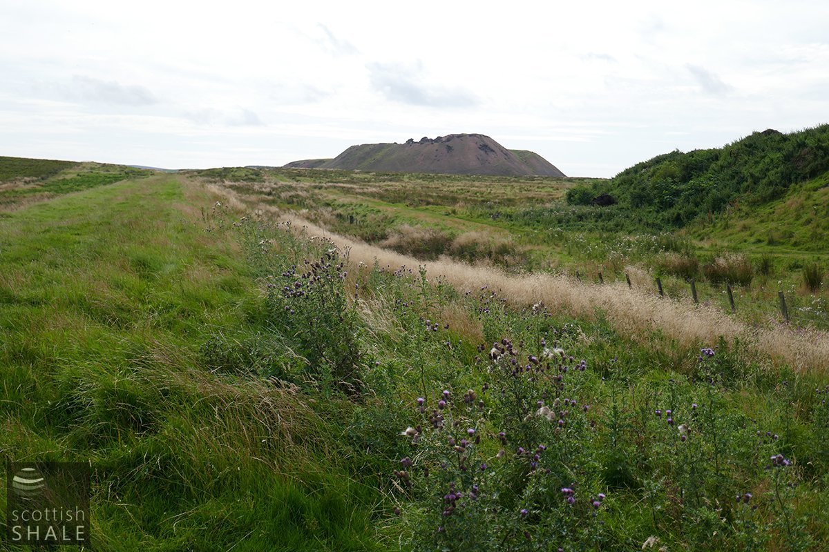 P1000569.jpg