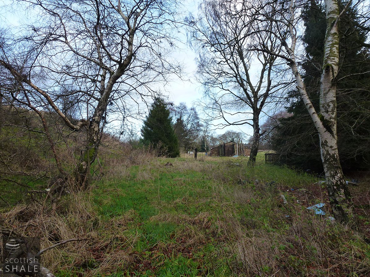 P1000584.JPG