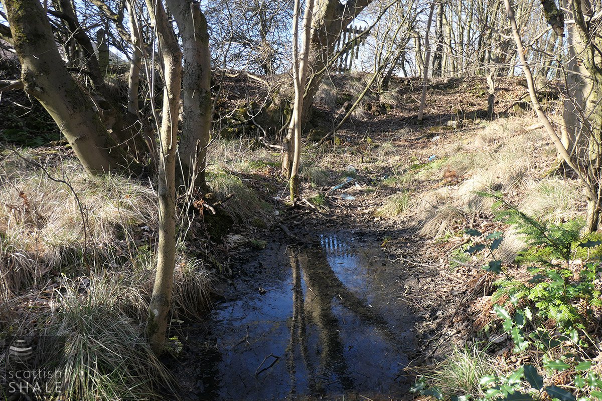 P1000591.jpg