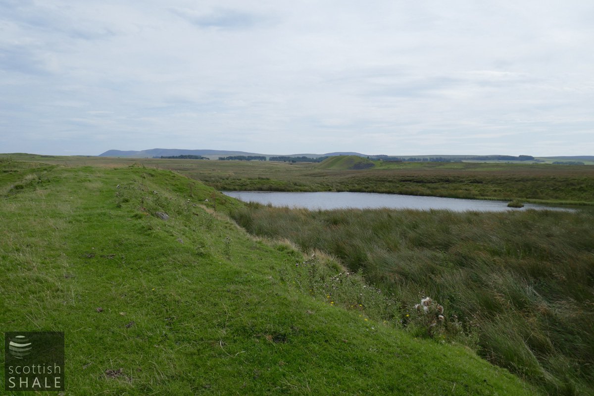 P1000595.jpg