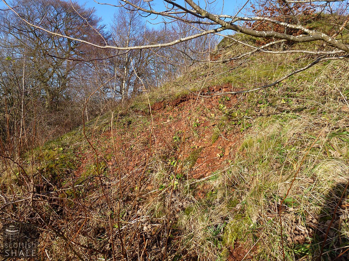P1000619.JPG