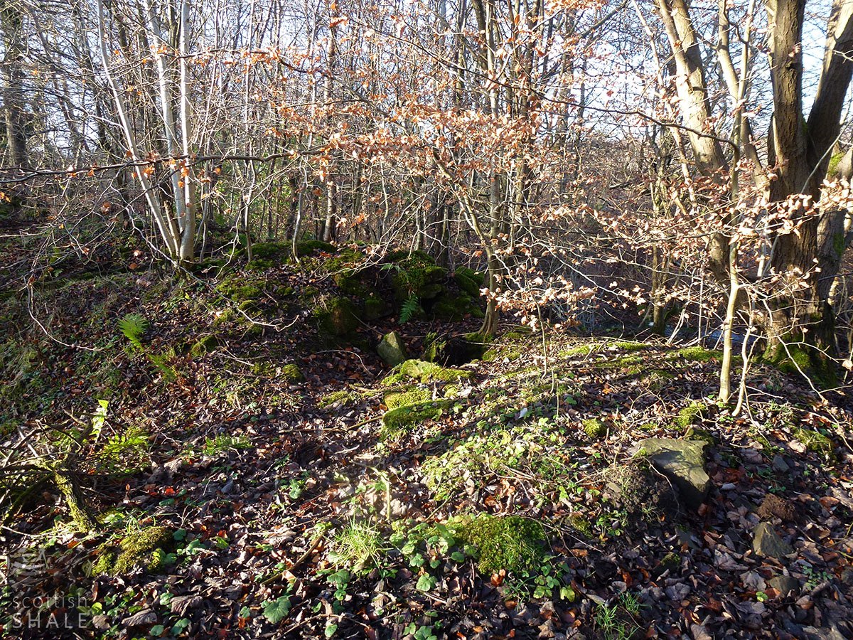 P1000623.JPG
