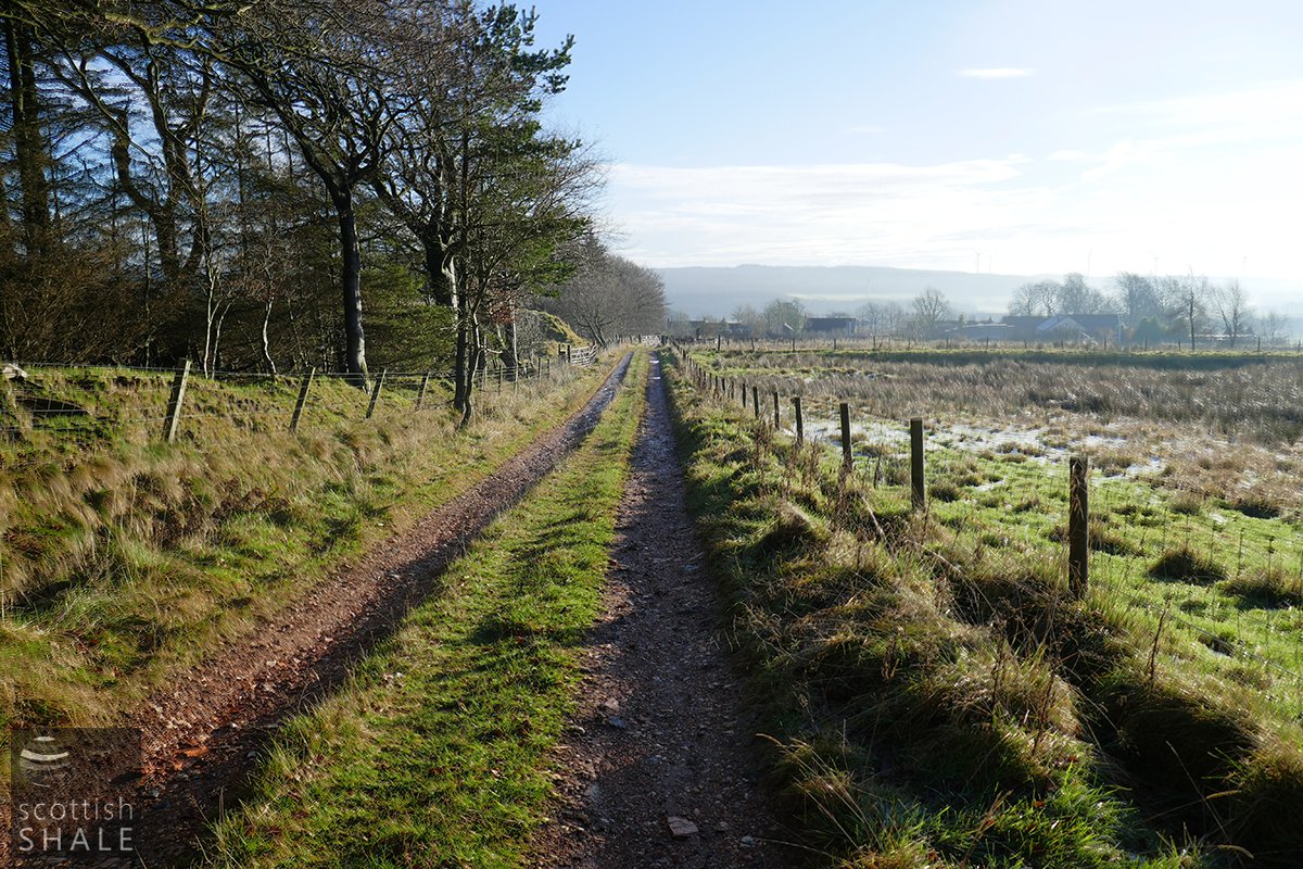 P1000675.jpg