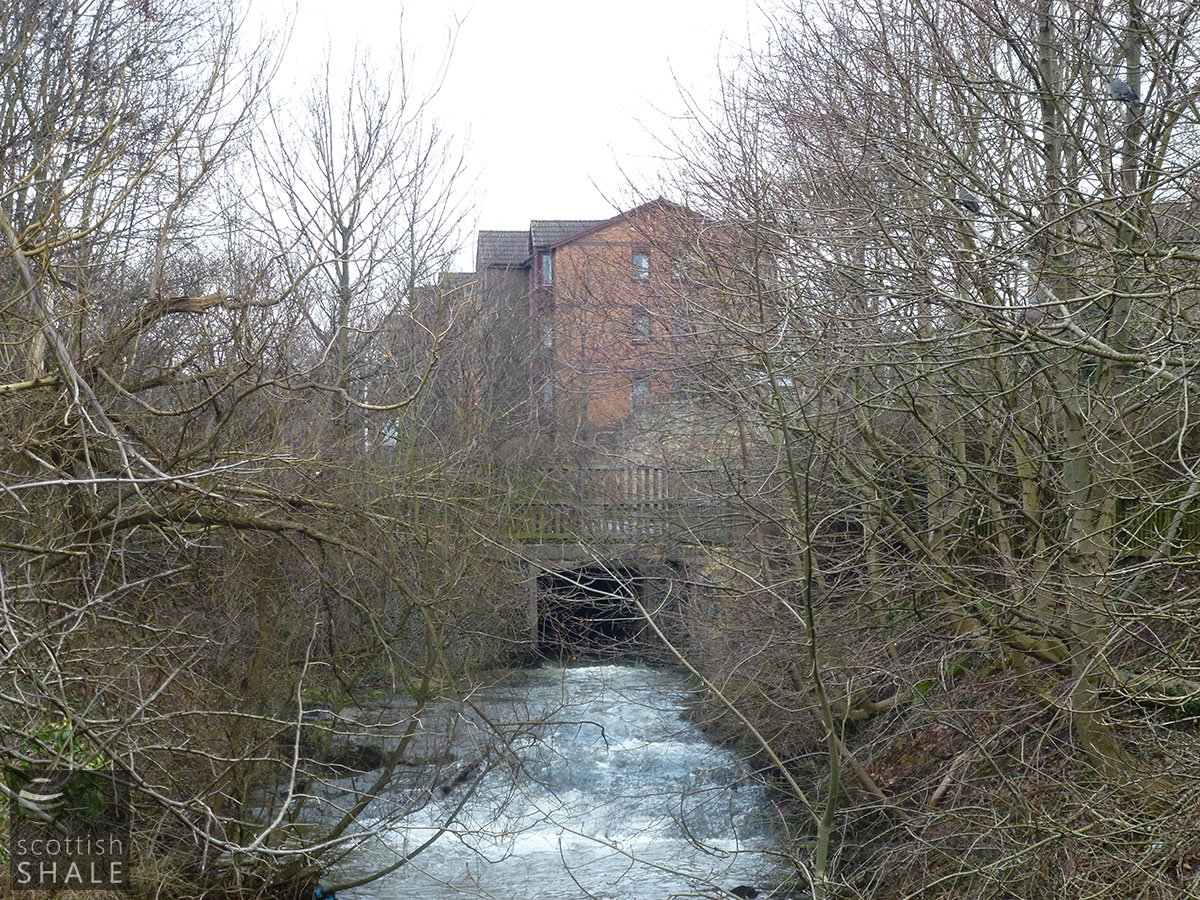 P1000824.JPG