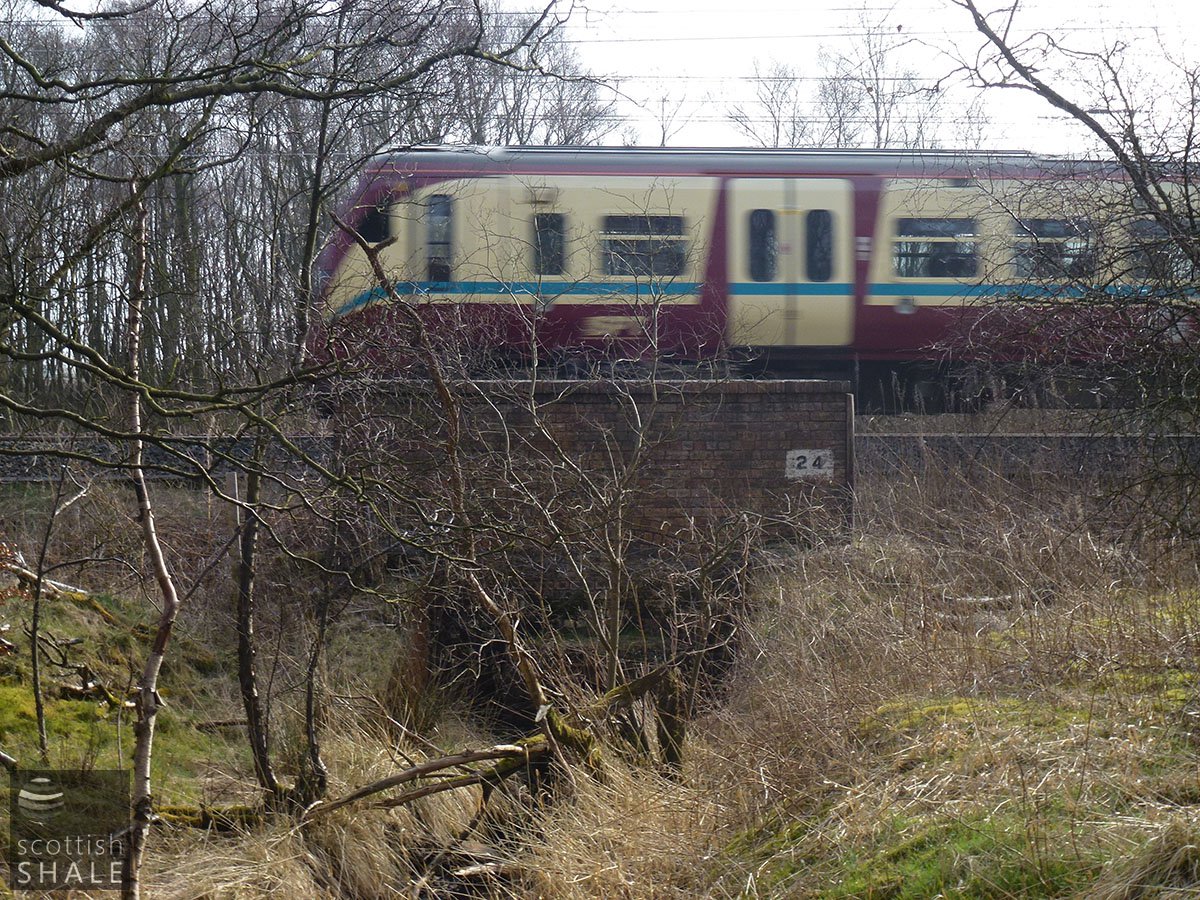 P1000967.JPG