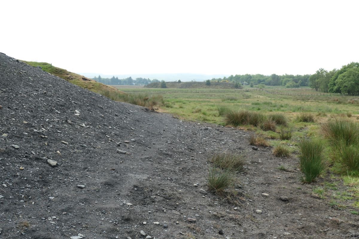 P1001417