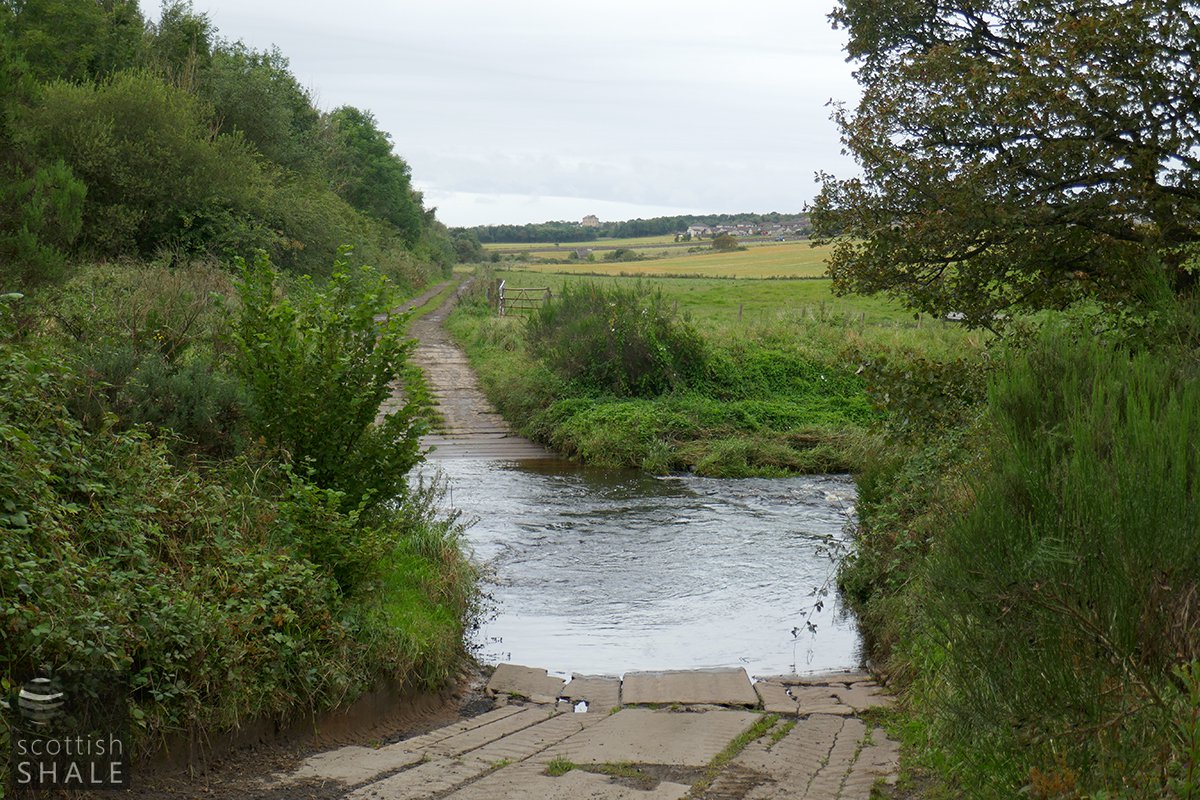 P1010023.jpg