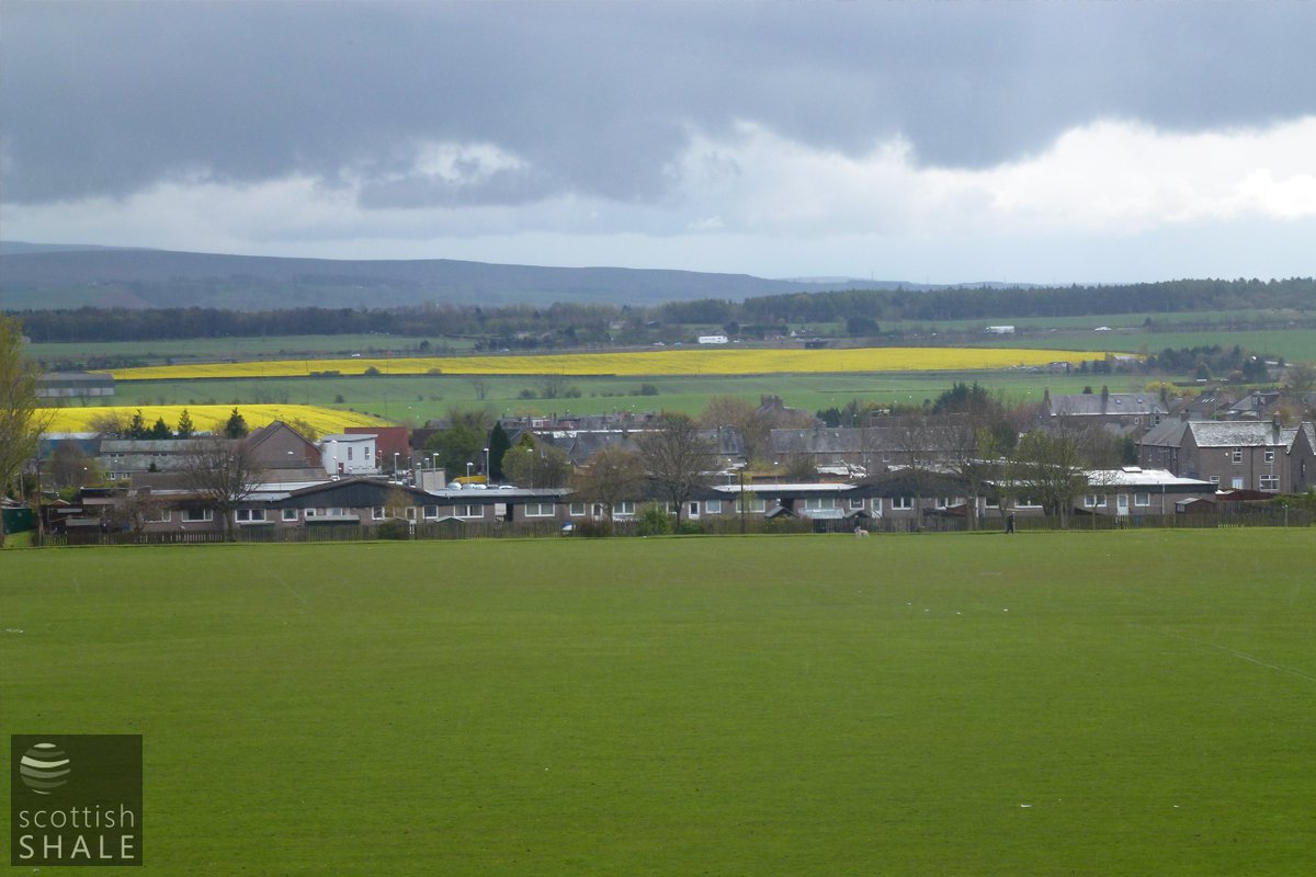 P1010442.jpg