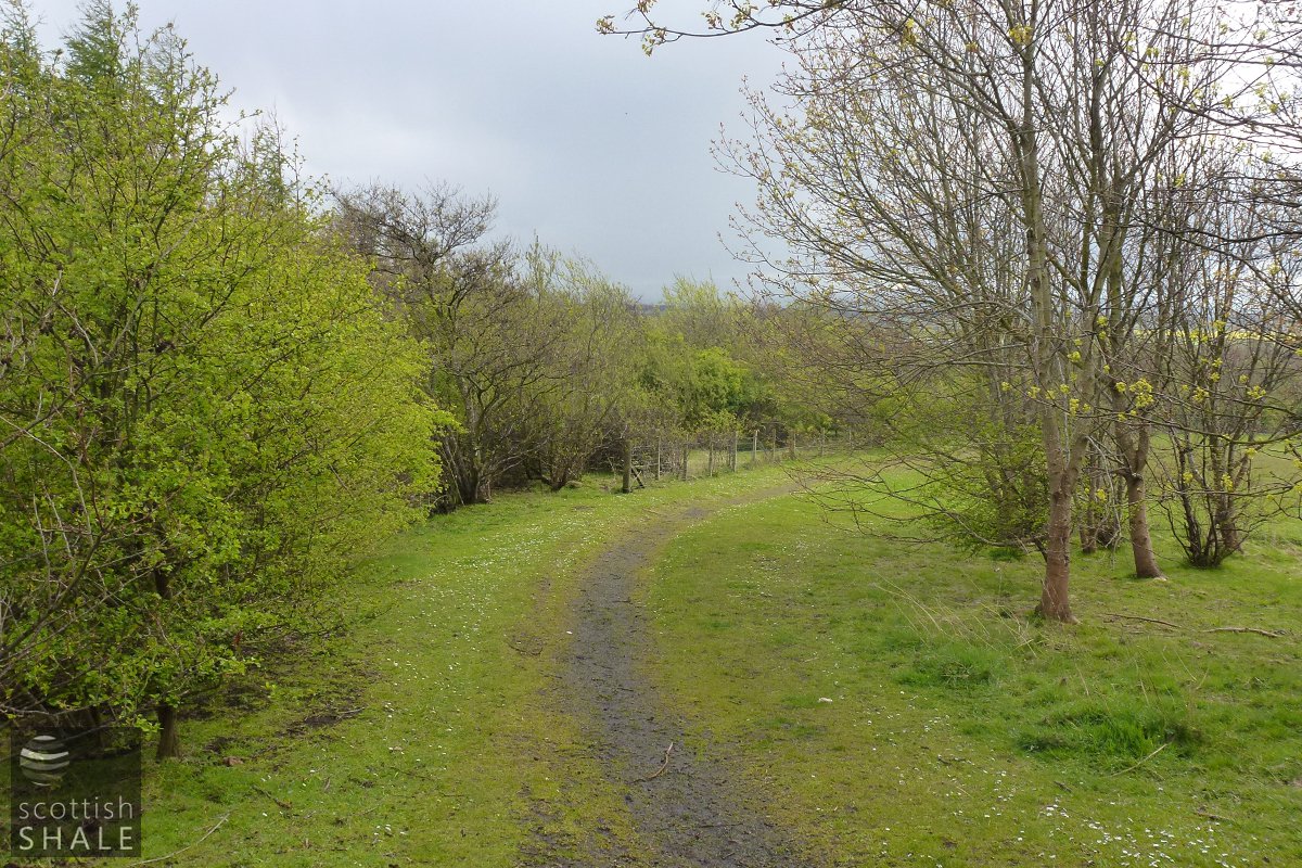 P1010444.jpg