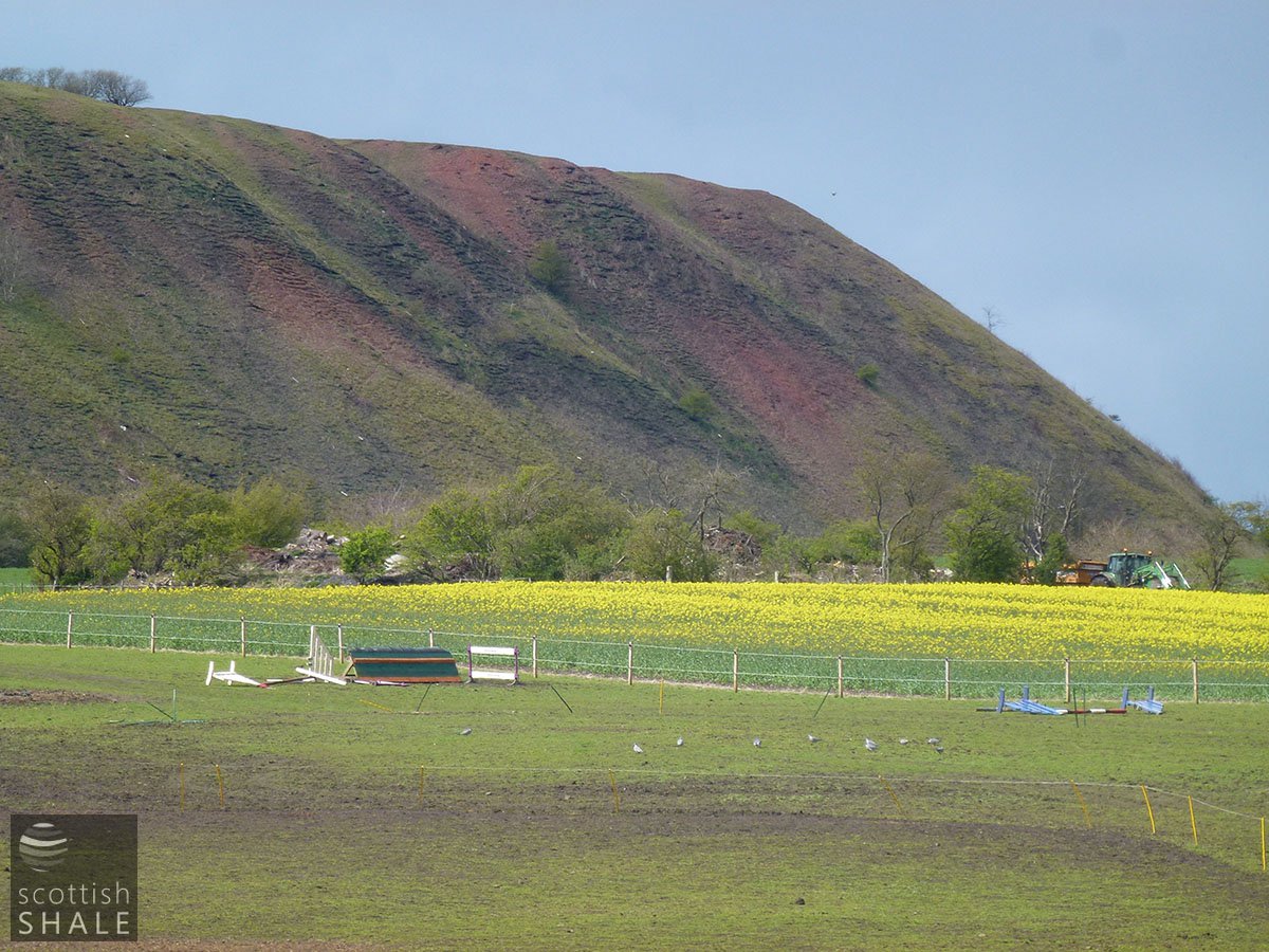 P1010460.JPG