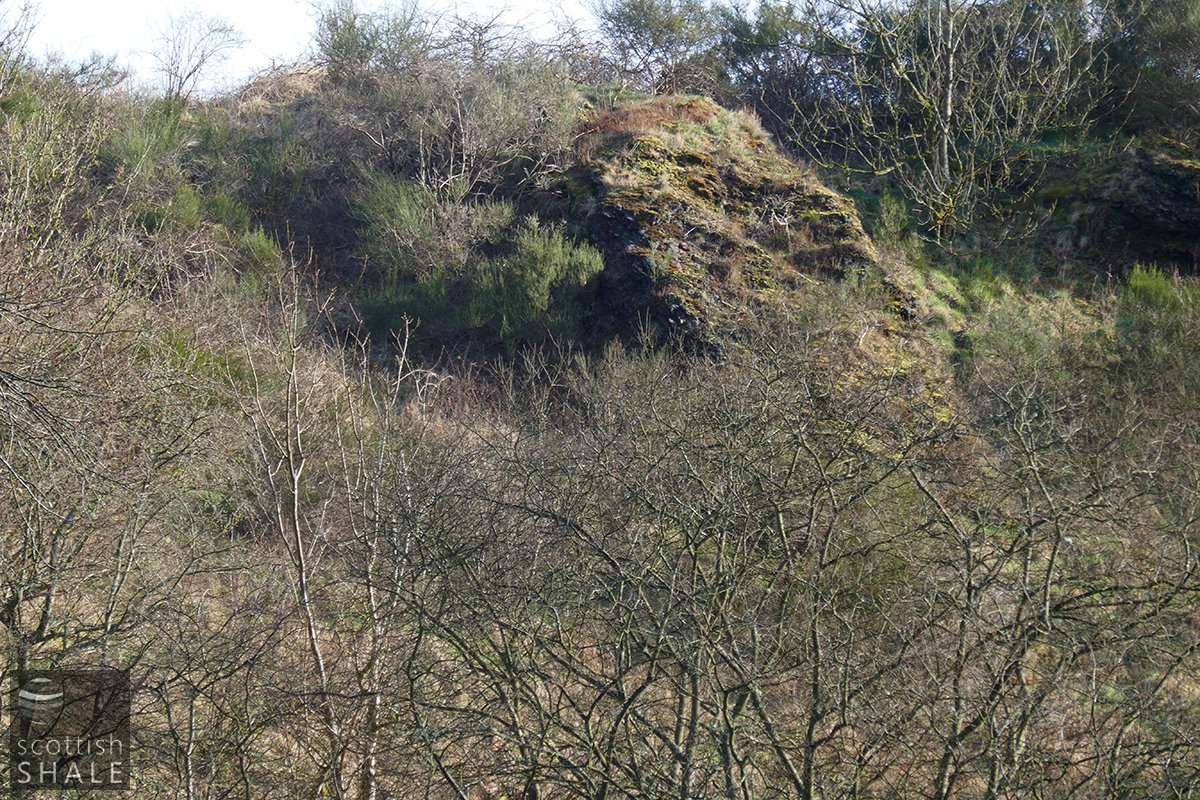 P1010655.jpg