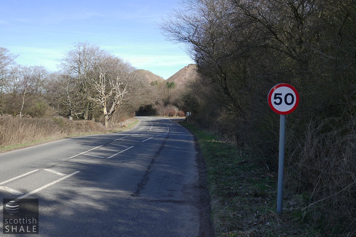 P1010691.jpg
