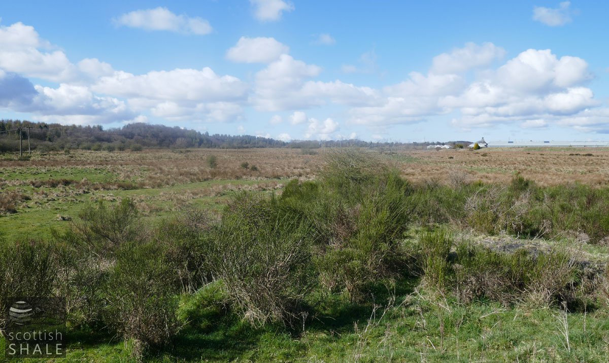P1010845.jpg