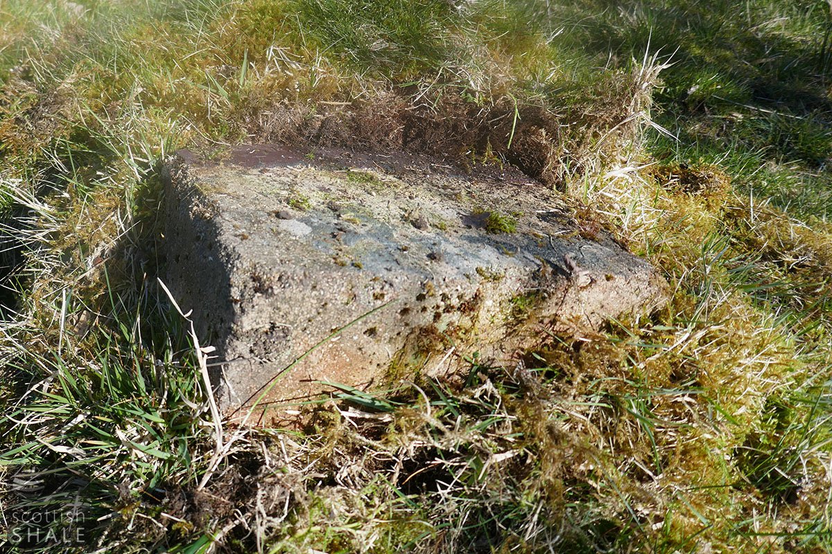 P1010857.jpg