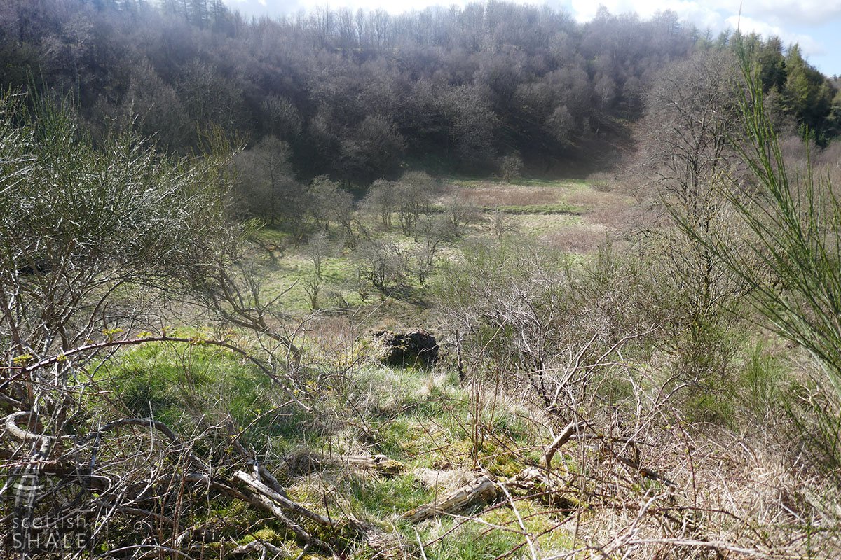 P1010871.jpg