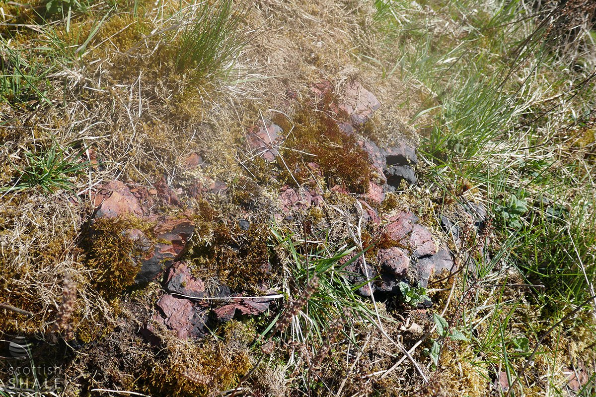 P1010877.jpg