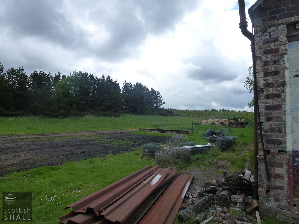 P1020013.JPG