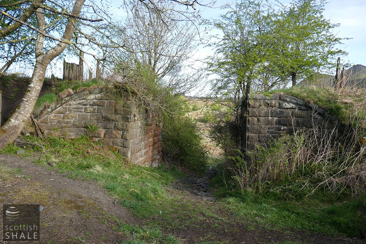 P1020211.jpg