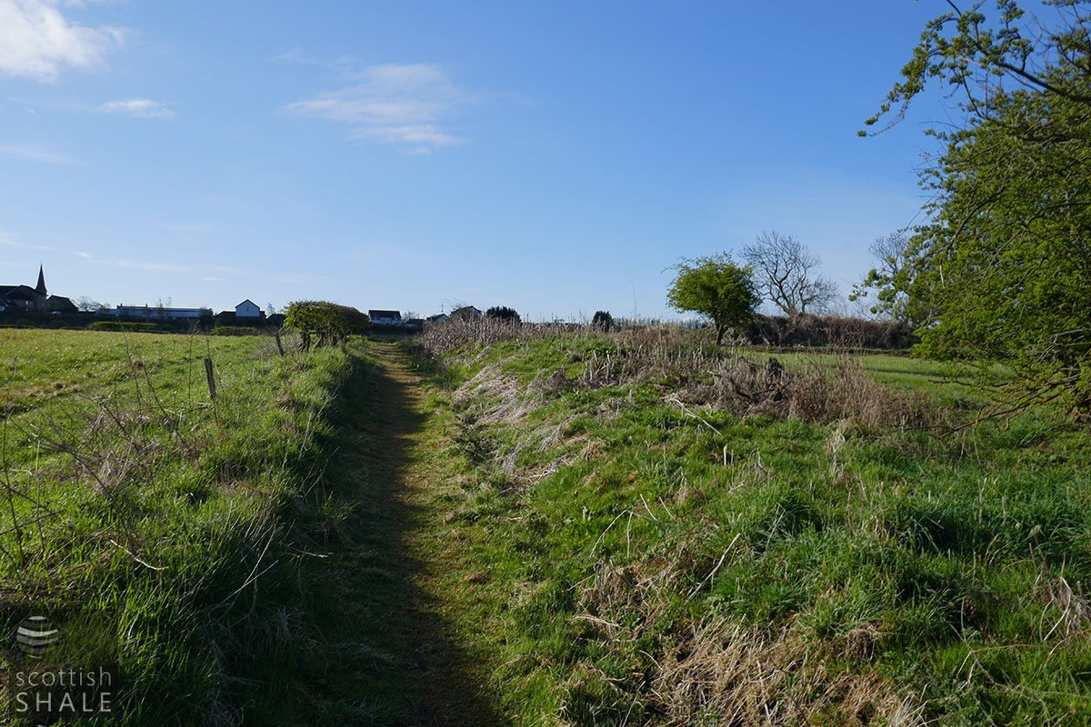 P1020237.jpg