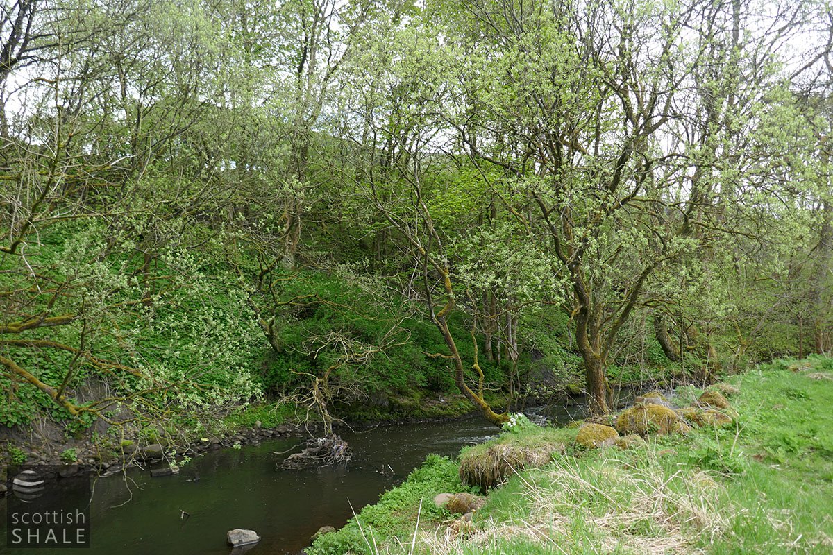 P1020381.jpg