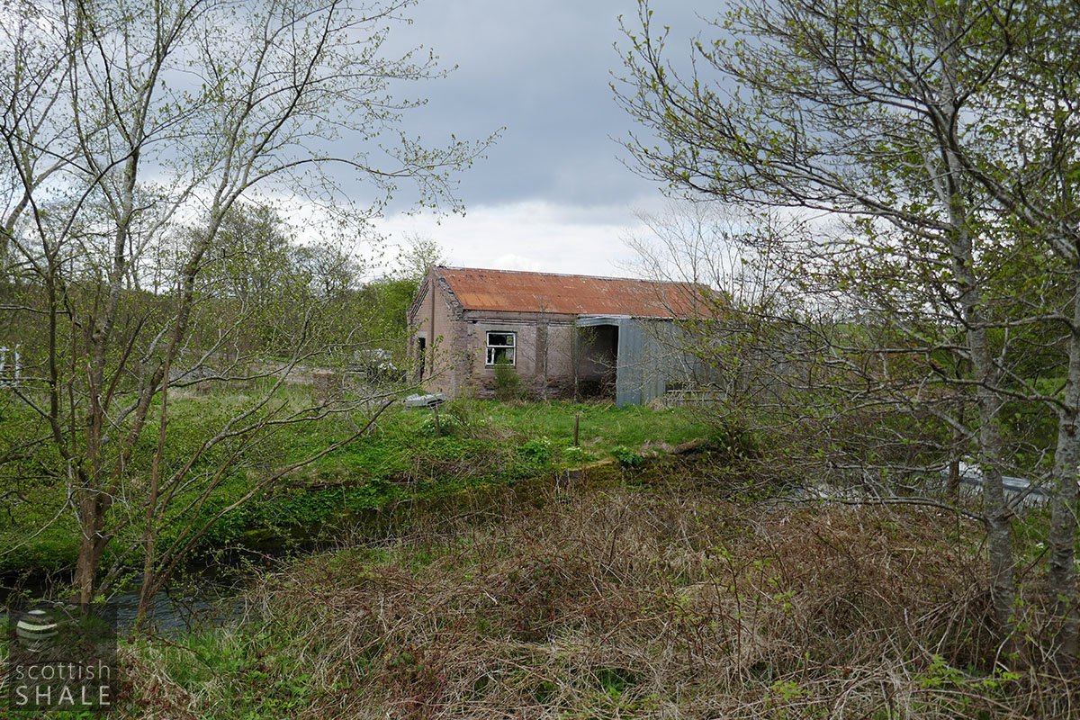 P1020407.jpg