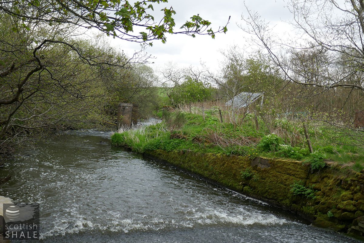 P1020446.jpg
