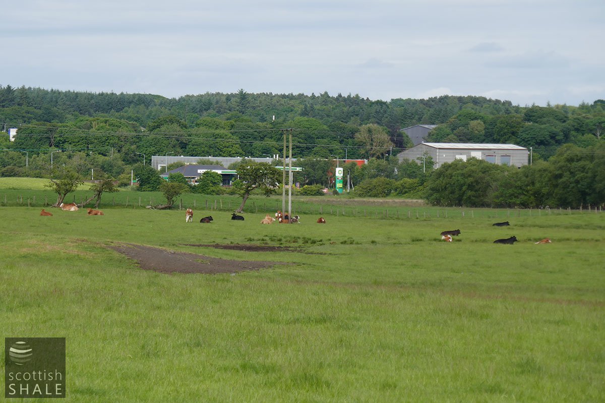 P1020990.jpg