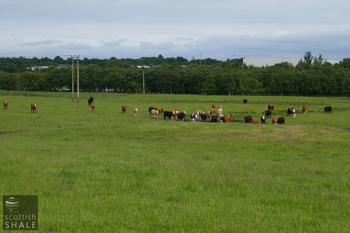 P1020998.jpg