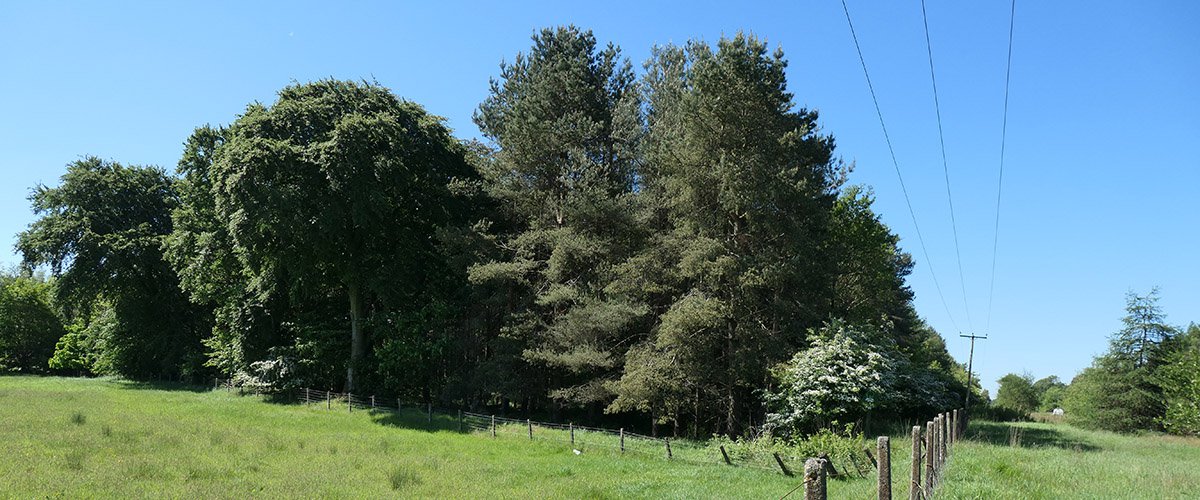 P1022592.jpg
