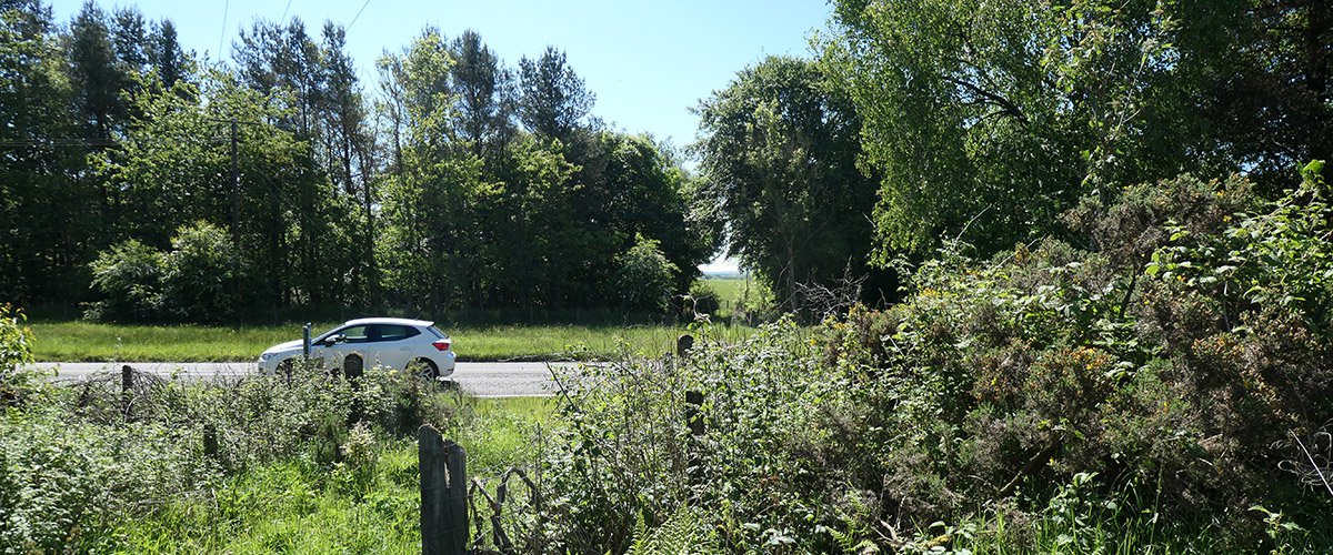 P1022617.jpg