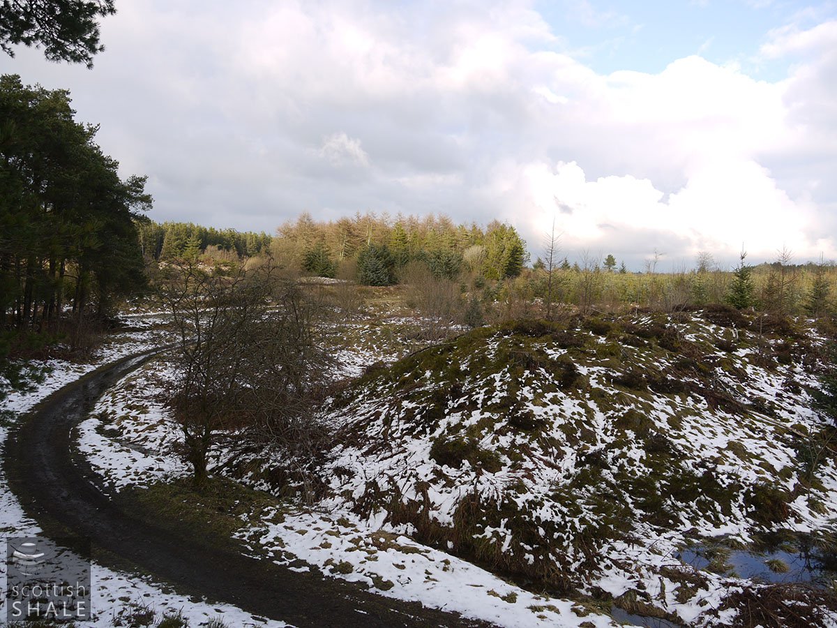 P1030813.JPG