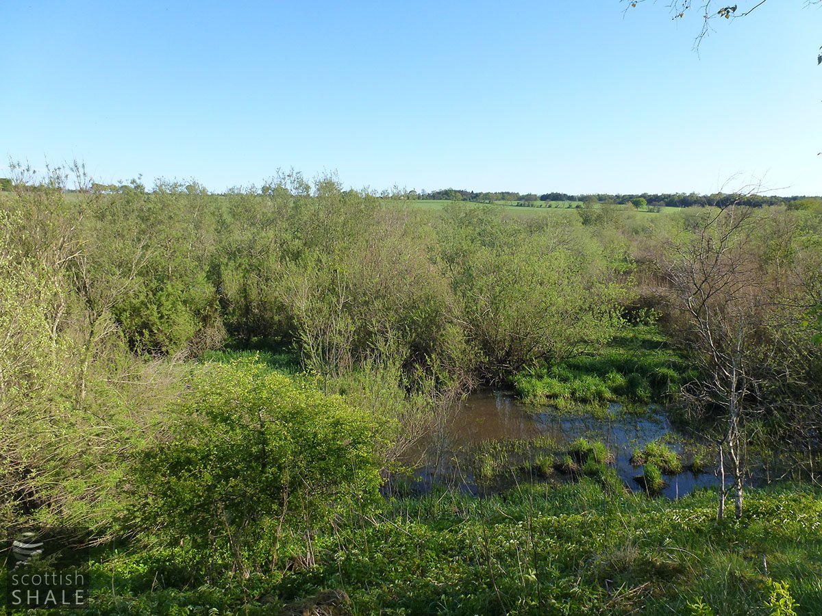 P1030851.JPG