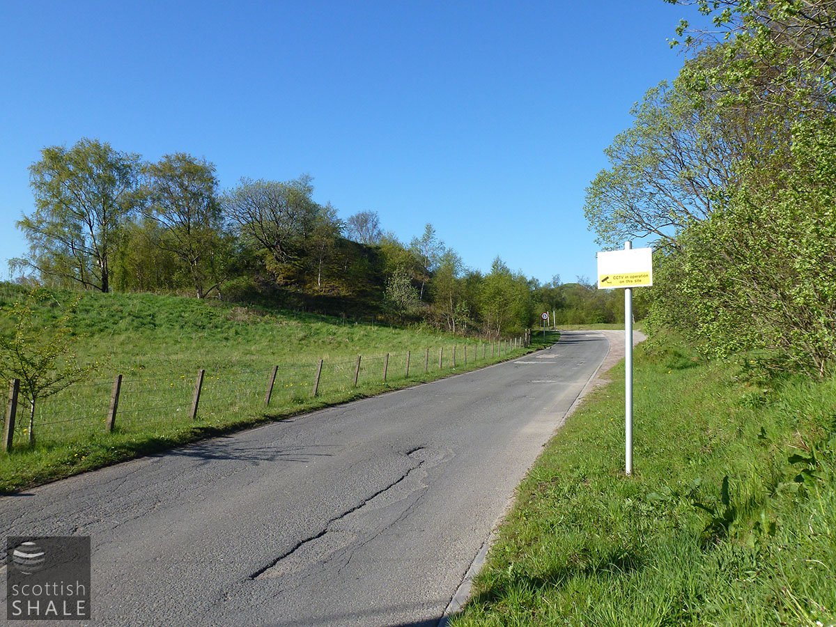 P1030856.JPG
