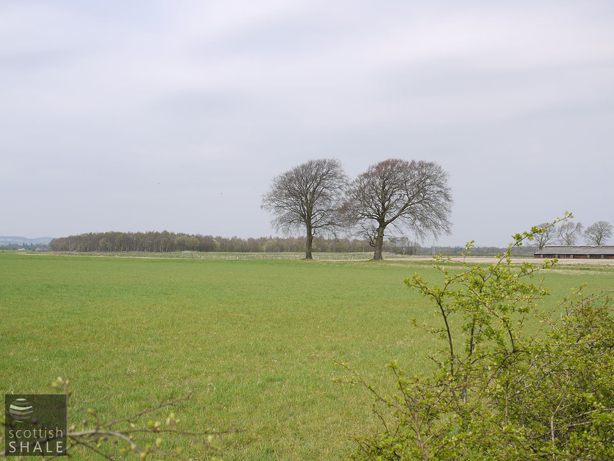 P1040337.JPG